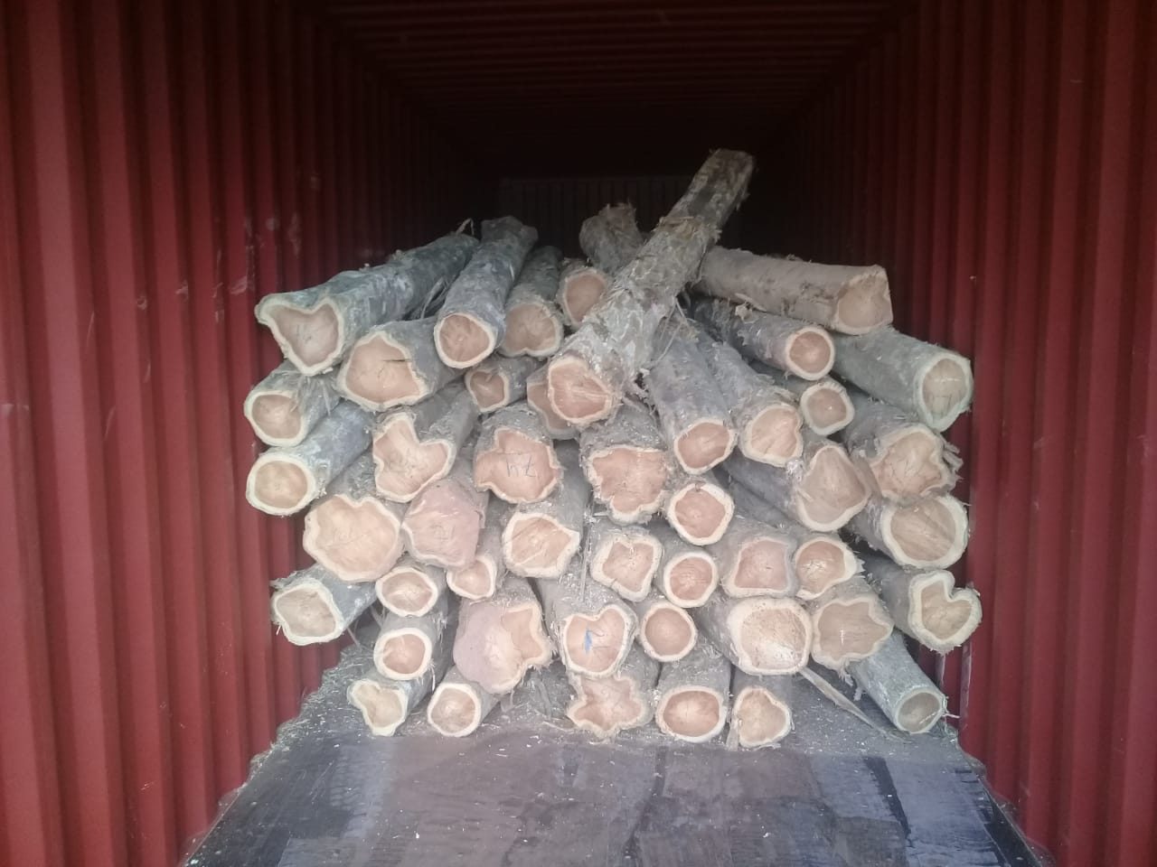 Teca – Madeira Nobre